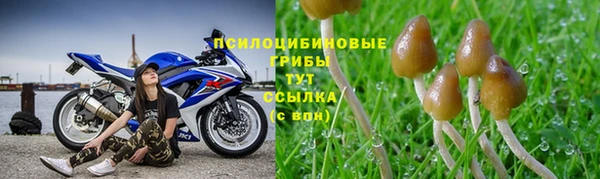 наркотики Снежинск